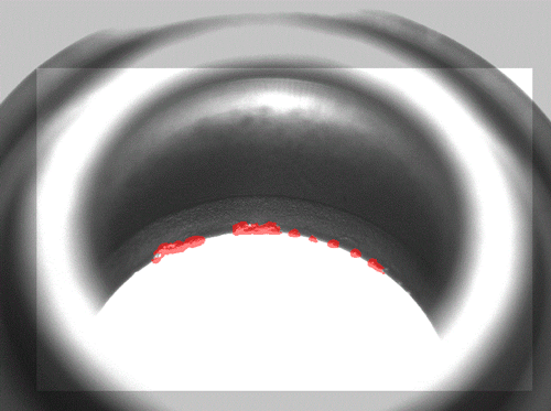 Deep Learning - Retén de goma Ø9 mm Control de labios interiores